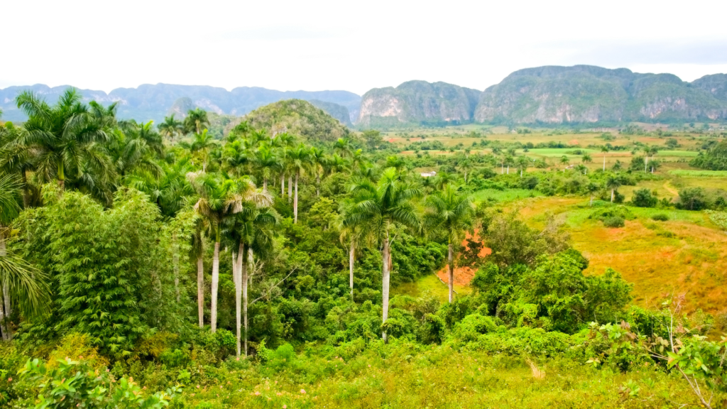 dolina vinales kuba